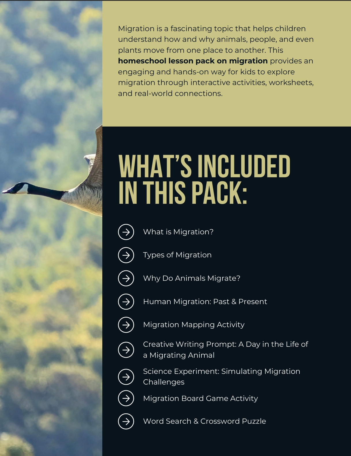 Migration Activities: A Smart Learning Guide for Curious Kids