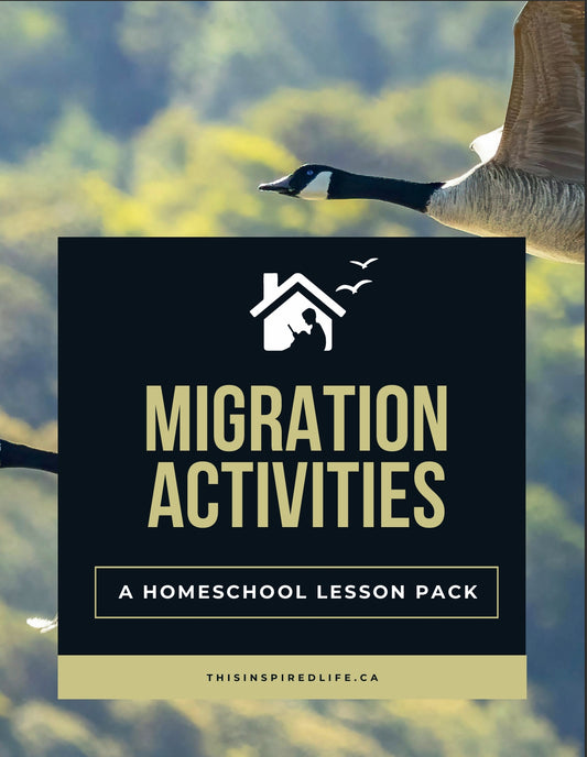 Migration Activities: A Smart Learning Guide for Curious Kids