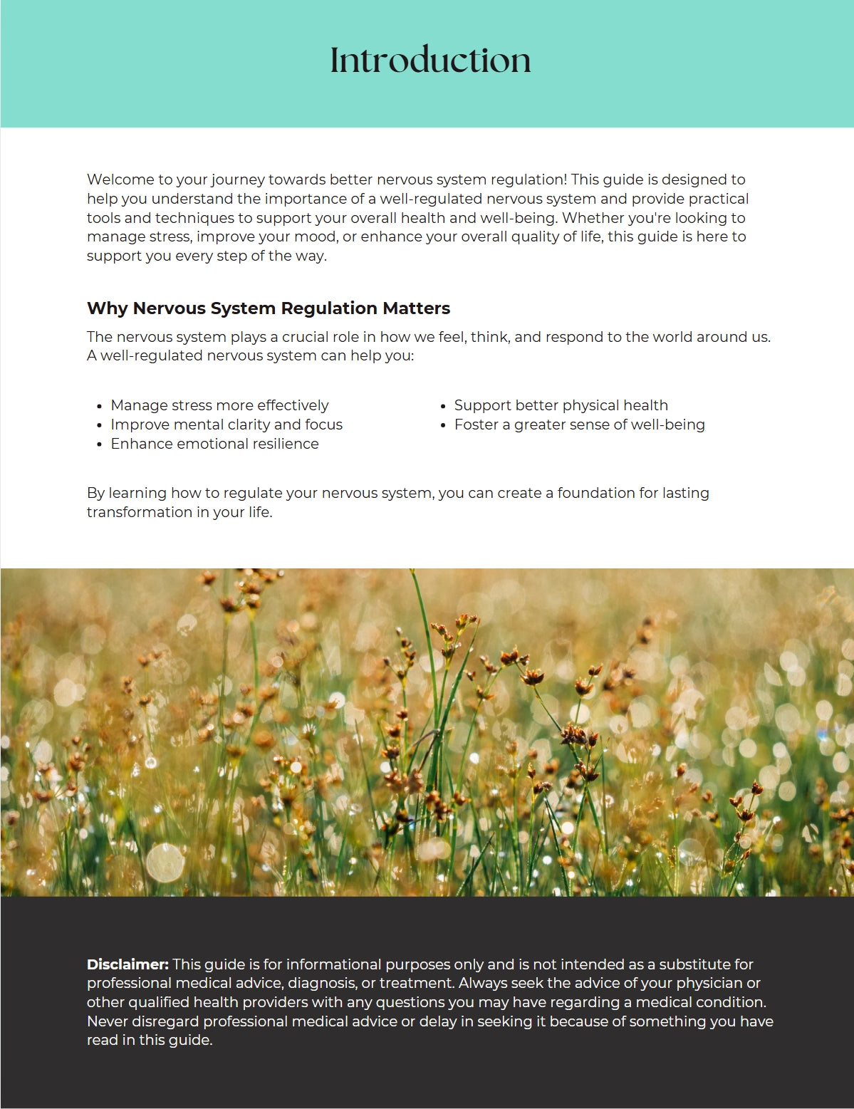 Manage Your Stress: A Guide to Regulating Your Nervous System Naturally